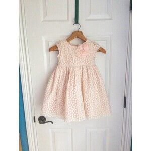 Pippa and Julie Size 4 Girls Flower Girl Pink Lacey Princess Dress